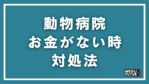 動物病院にお金がない時の対処法7選！獣医への相談方法から分割払いまで完全解説【2026年最新】